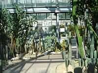 Экспозиция Ботанического сада